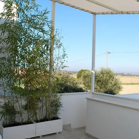 Ortopi Country Canapa House Nocleg ze śniadaniem Porto Recanati